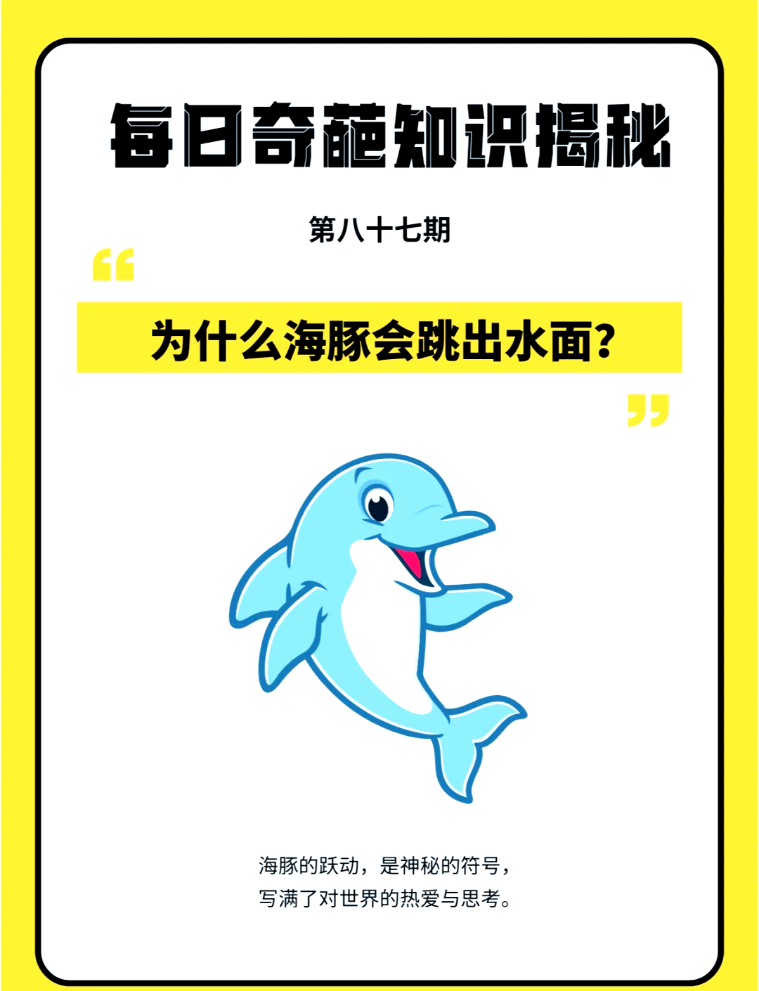看海豚飞跃,海边的趣味运动体验 看海豚飞跃,海边的趣味运动体验