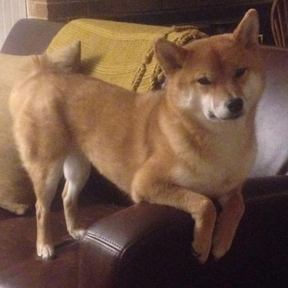 _城市探险赛:穿越历史的跑者之旅_,城市探险的现状