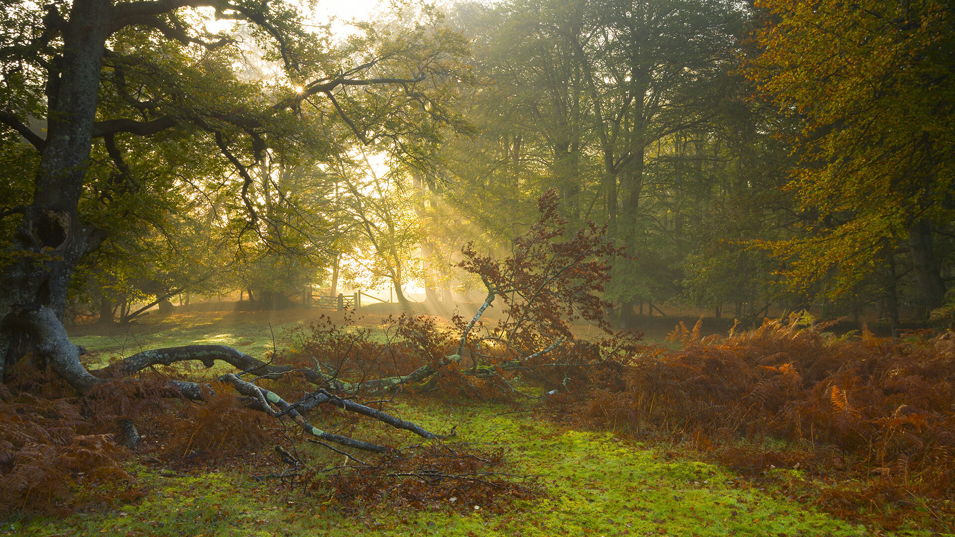 AYX SPORTS-_潜水运动新体验：探索深海中的神秘世界_，潜水运动介绍