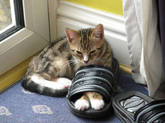 爱游戏娱乐平台-_潮流运动新宠：水上漂流体验火热开启_，水上漂流怎么玩