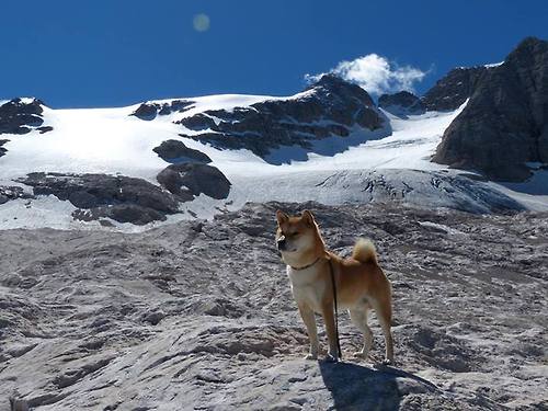爱游戏app-“广州队击败上海队，夺取联赛榜首位置”，广州对上海篮球