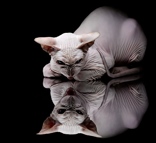 墨西哥击败德国，晋级冬奥会足球八强，墨西哥奥运足球队