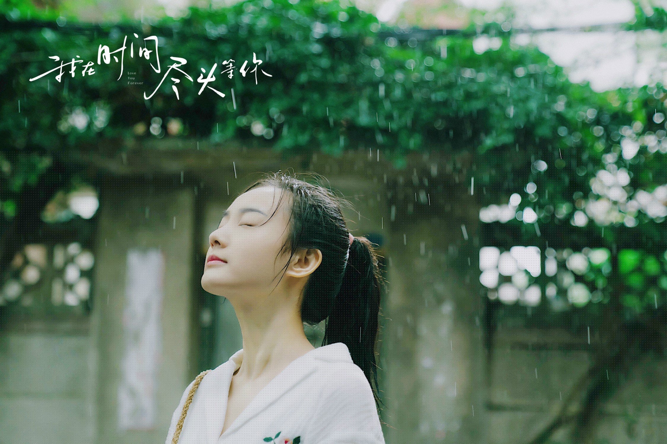 球场外的“战场”:媒体、裁判与球迷的角力,篮球场外是什么意思