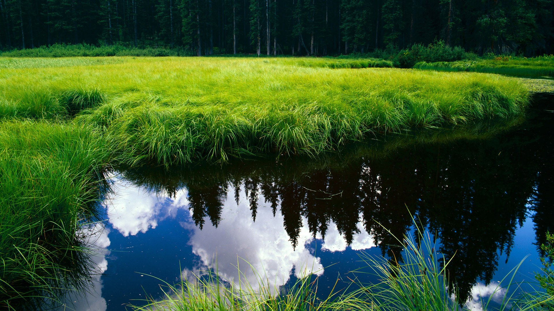丹麦迎战摩洛哥，欧洲杯小组赛角逐激烈进行