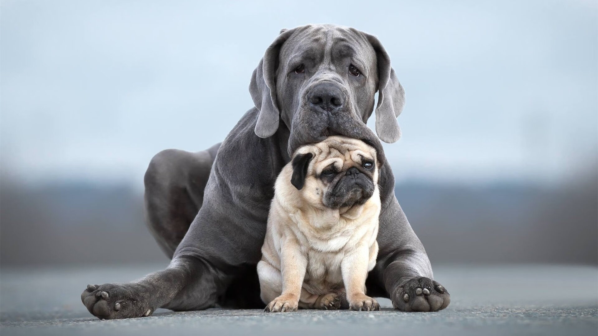 全明星技巧赛是否应更具实际意义,全明星赛技巧大赛