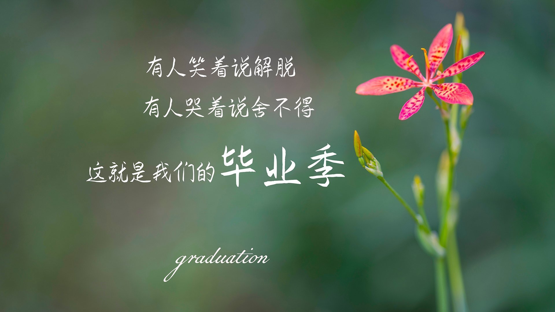 AYX体育官网-勇士队投篮稳定性显著增强，勇士投篮教练