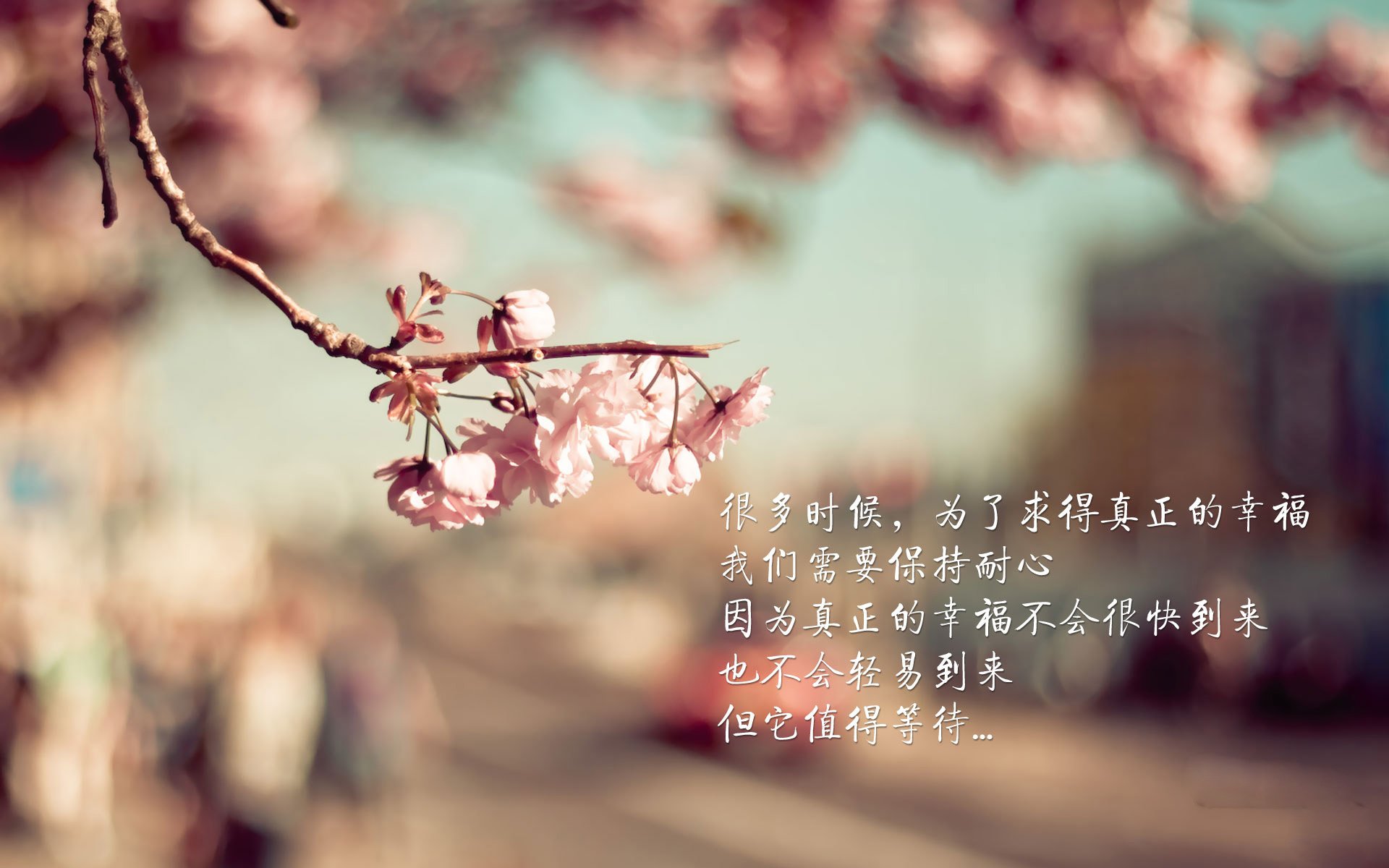 是否应设立防守球员单独奖项，是否应设立防守球员单独奖项的规定