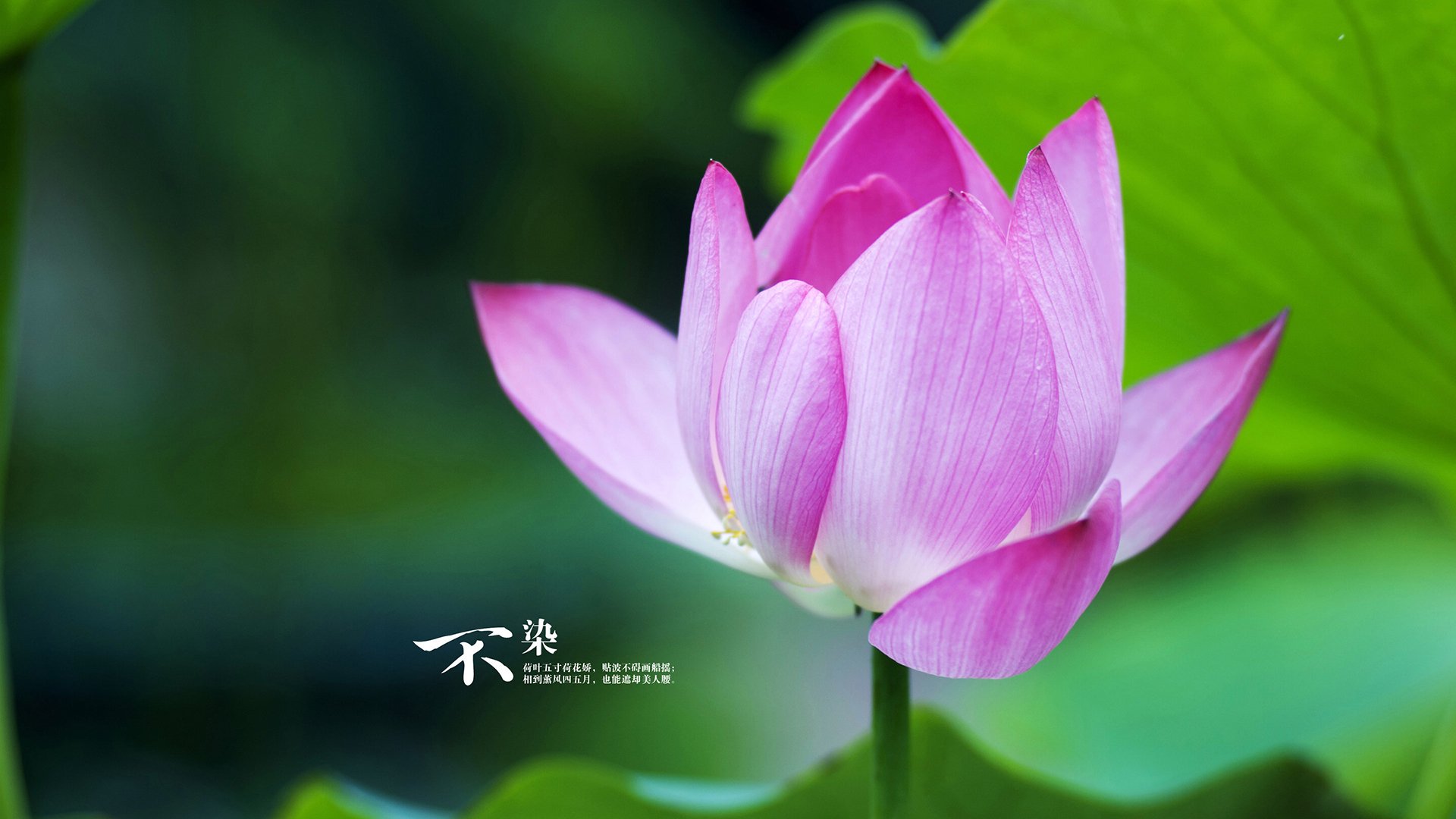 浙江广厦 全华班挑战极限,浙江广厦训练基地