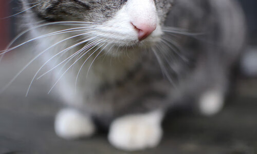 爱游戏体育官方网站-电竞职业选手科学训练计划制定与体能数据分析，电竞职业选手训练内容