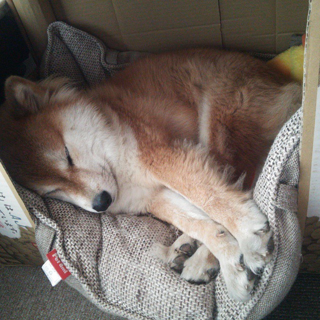 赫塔费主场1-2不敌皇家社会，遗憾落败，赫塔费队