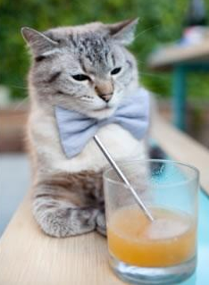 爱游戏app-中国男篮防守强度显著提高 球队默契增强，中国男篮面临一个可怕的对手