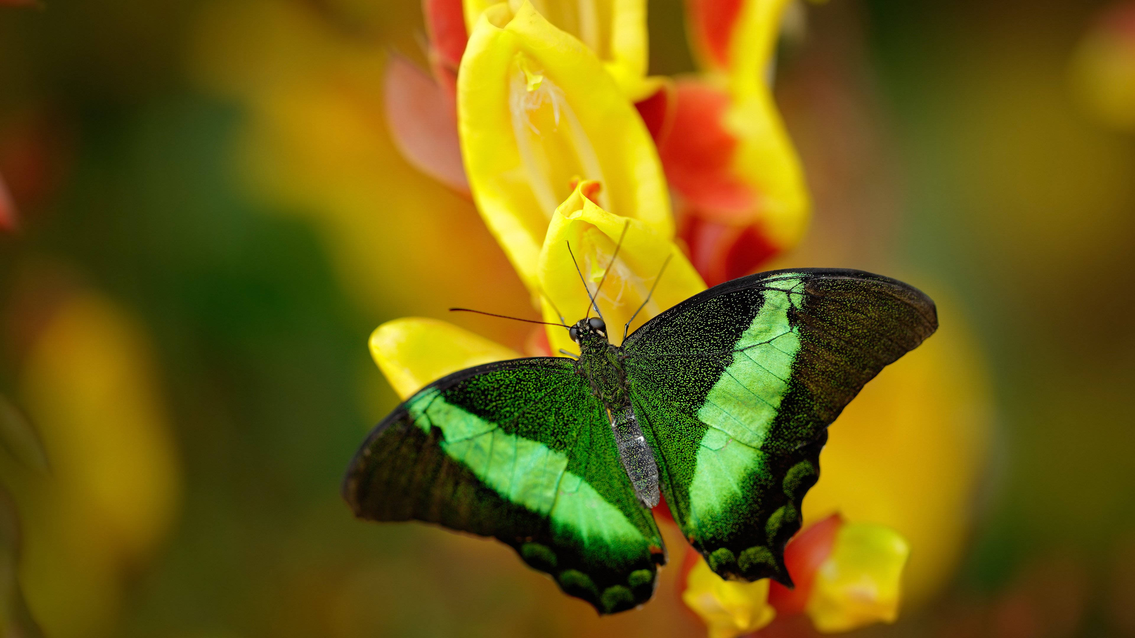 国际热身赛中国队爆冷 球迷情绪陷入低谷,国家队热身赛