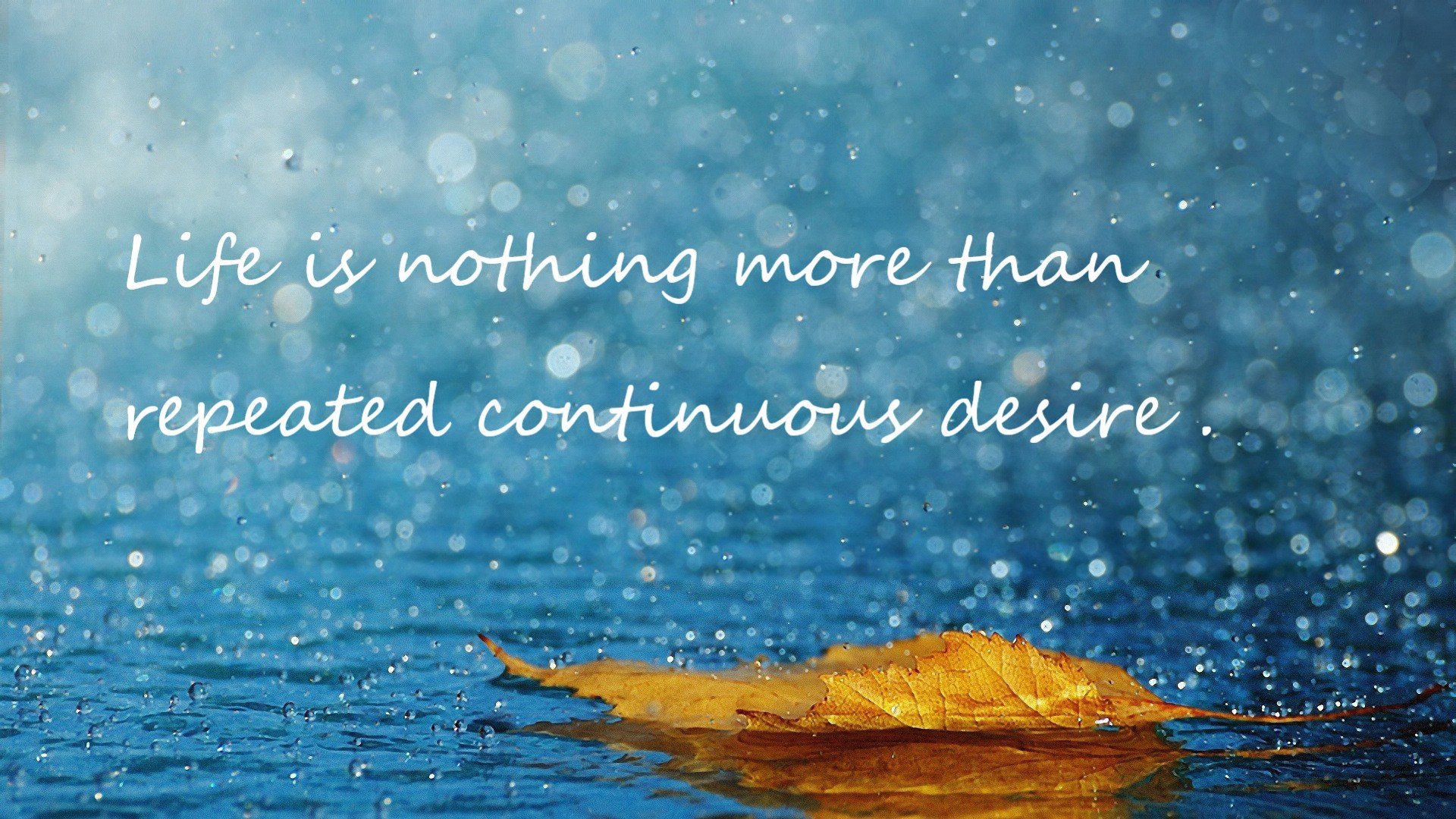 埃及乒乓队未来：深化国内基础训练，提升选手国际战斗力，埃及乒乓球名将