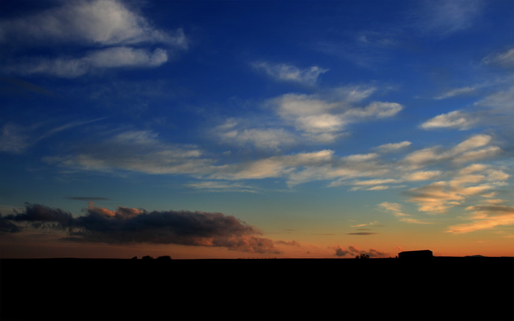武术文化节在多地同步举行推广传统技艺，武术文化节活动有什么