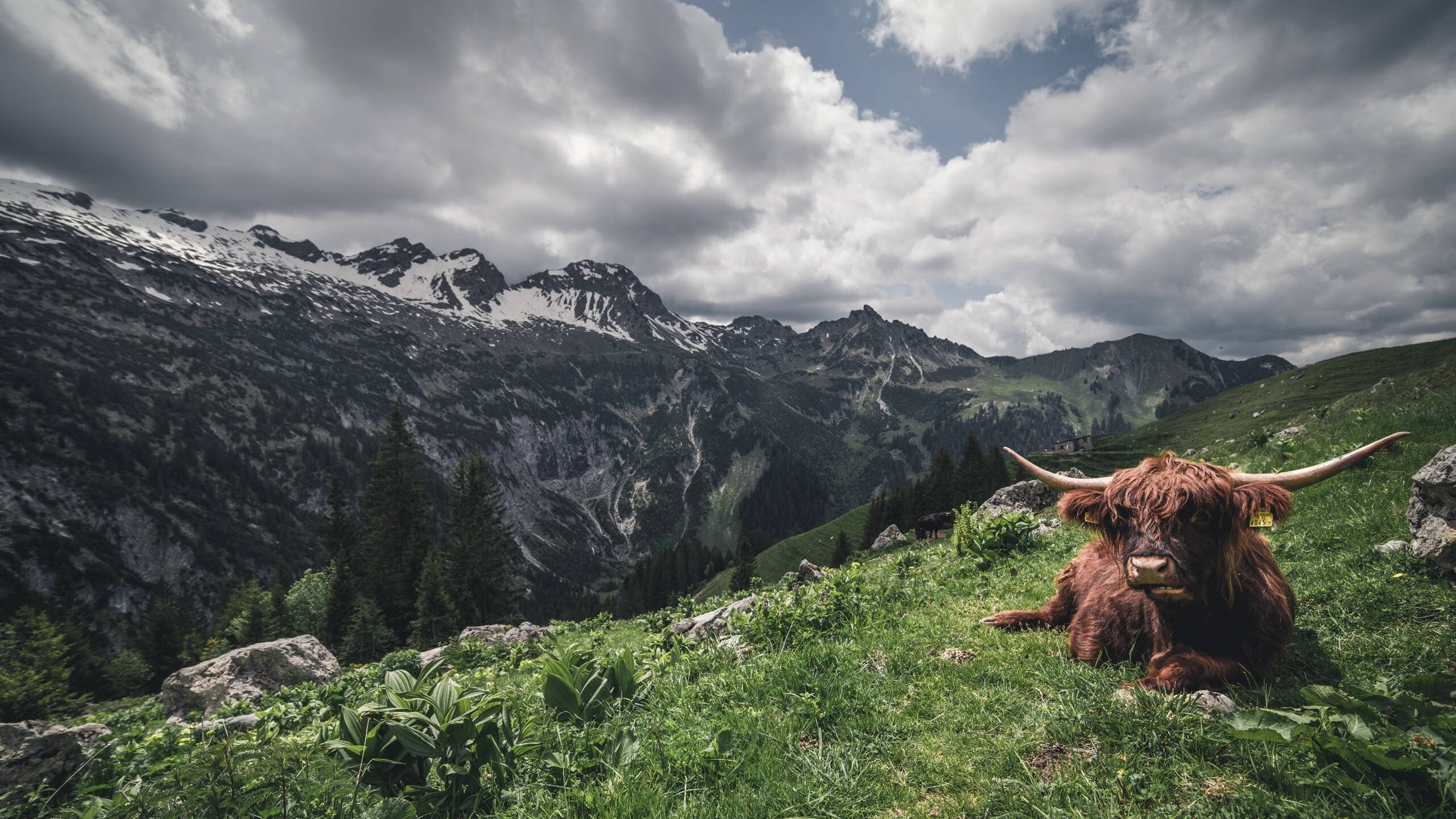 爱游戏官网-库策赛后分享突破自我心路历程，库大赛什么意思