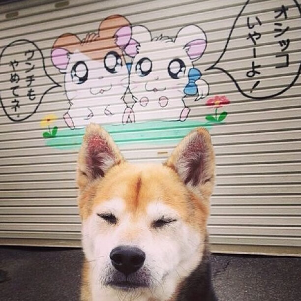 法甲杰出新星:未来领袖正逐步崛起!,法甲潜力球员