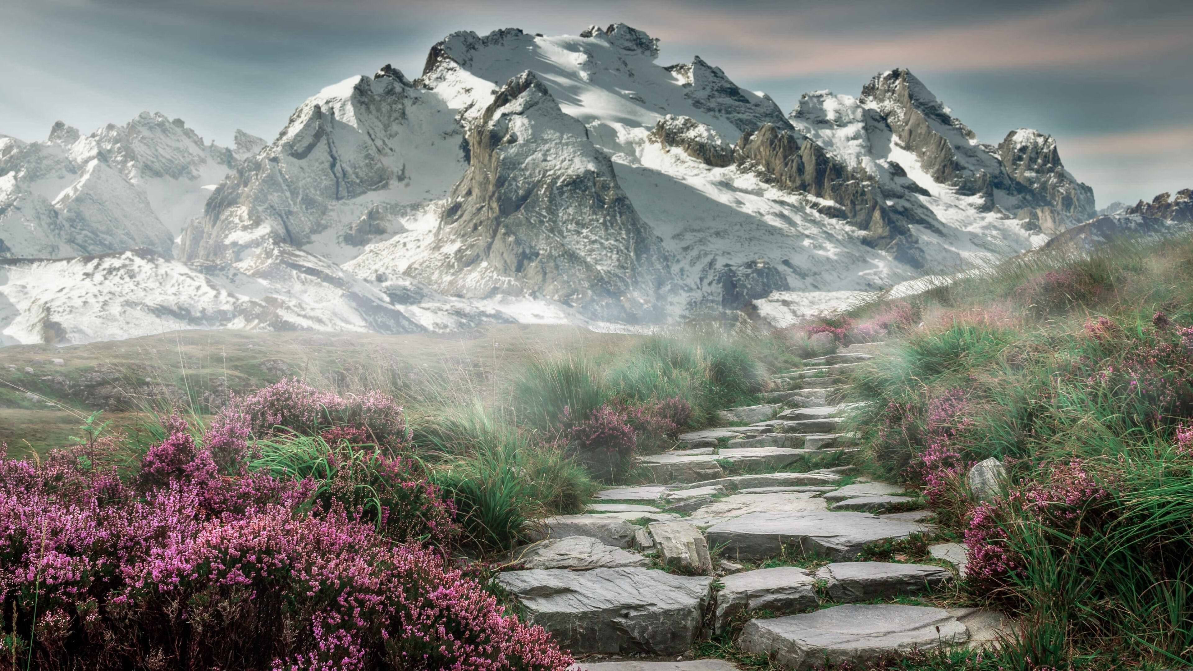 AYX GAMING-莫莉·奥卡拉汉冲刺阶段技压群雄，奥斯卡莫利亚